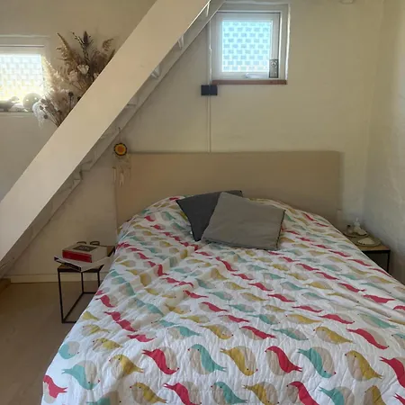 For The Night - Anneks In Apartament *